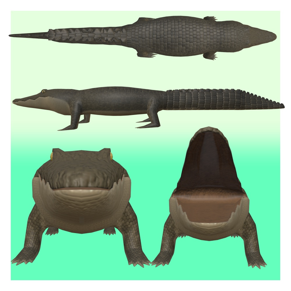 オリジナル3Dモデル「クロディ」(ワニ)