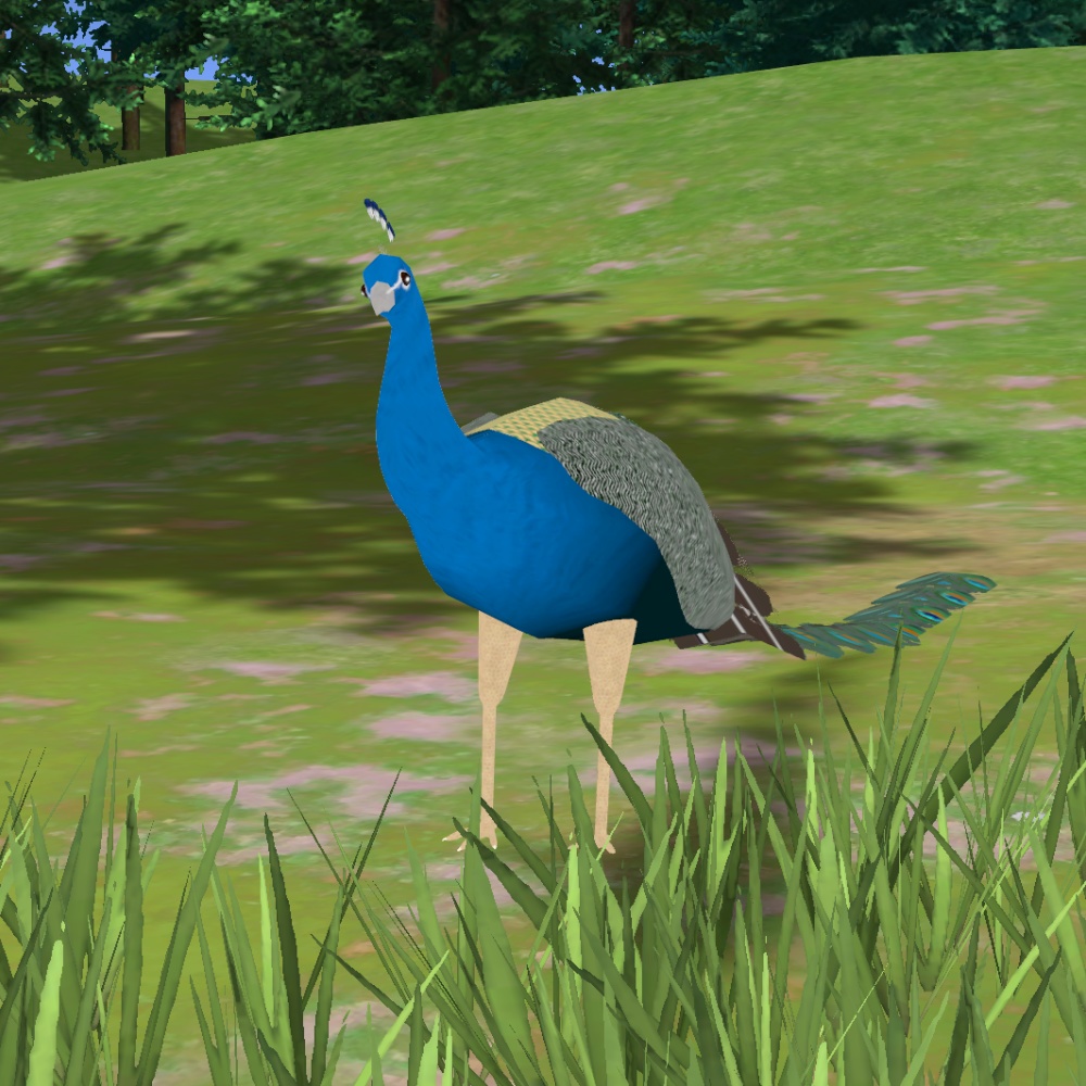 オリジナル3Dモデル「エルドム」(クジャク)