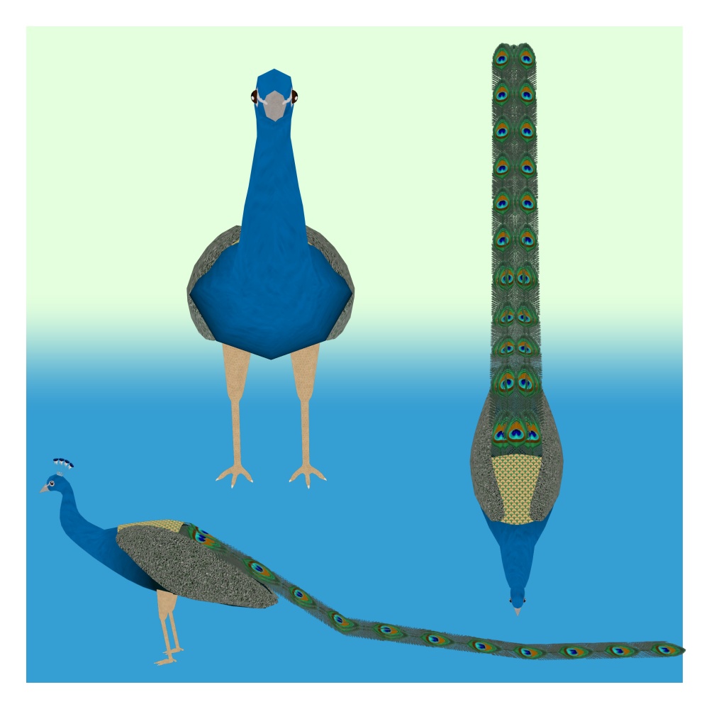 オリジナル3Dモデル「エルドム」(クジャク)