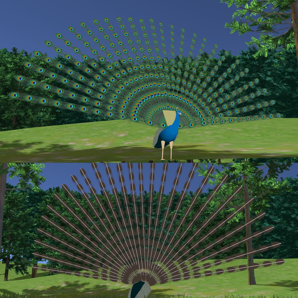 オリジナル3Dモデル「エルドム」(クジャク)