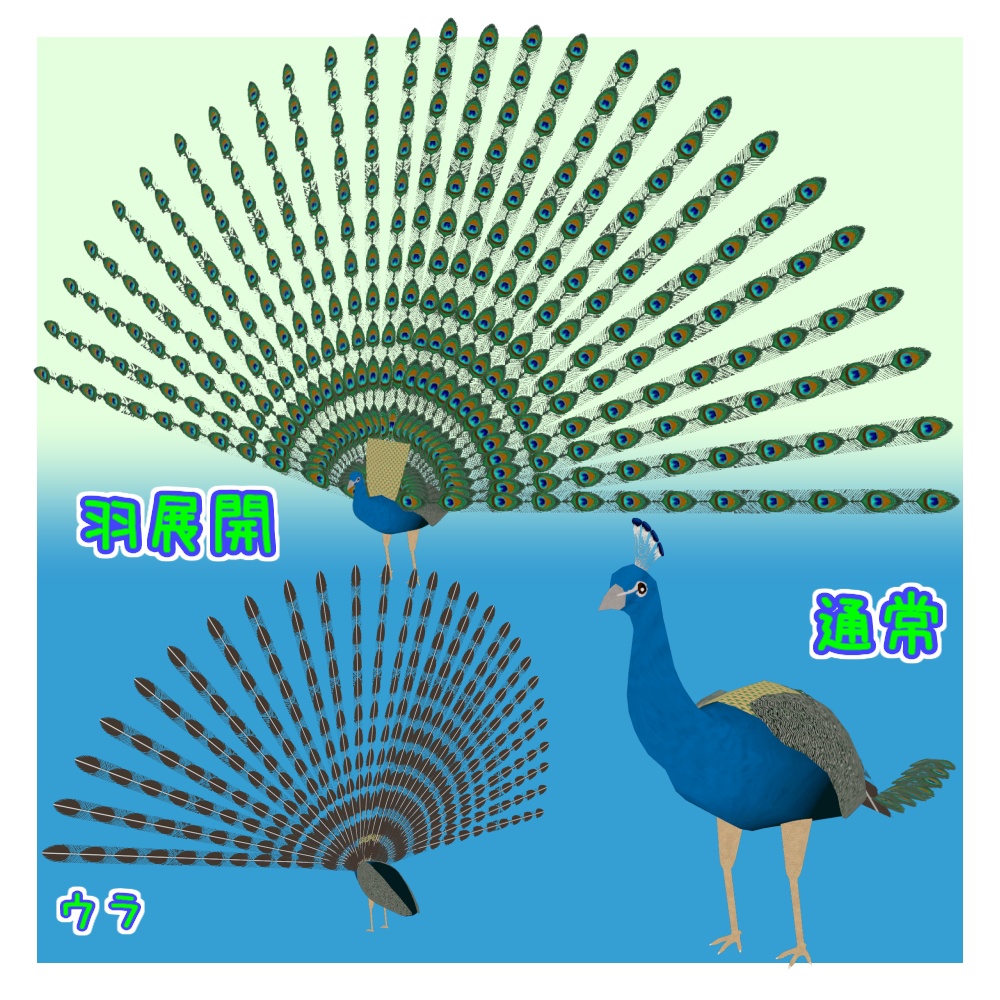 オリジナル3Dモデル「エルドム」(クジャク)