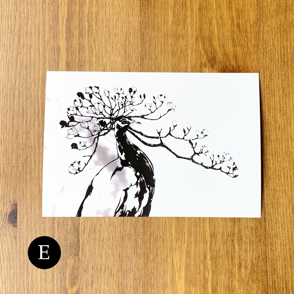 ポストカード10種