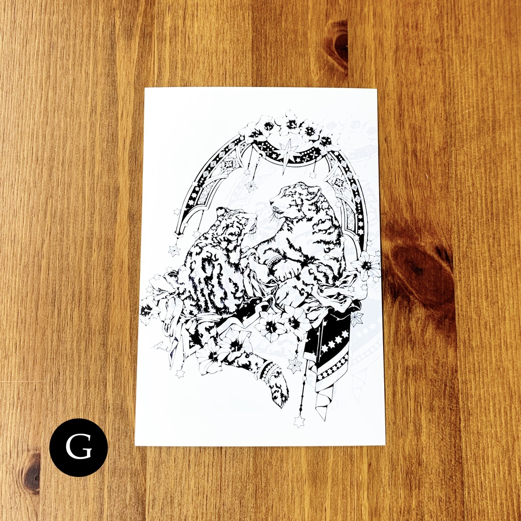 ポストカード10種