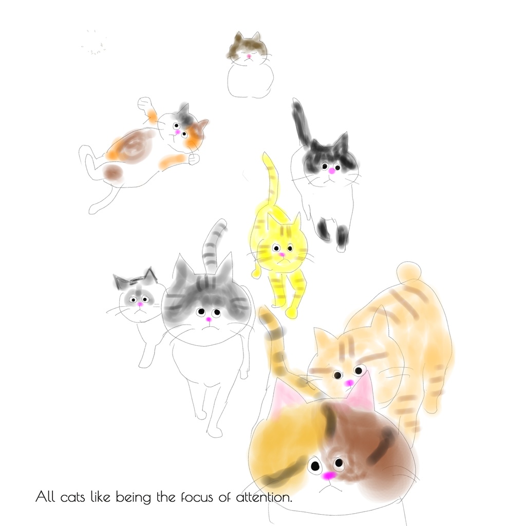 向かってくる猫たち