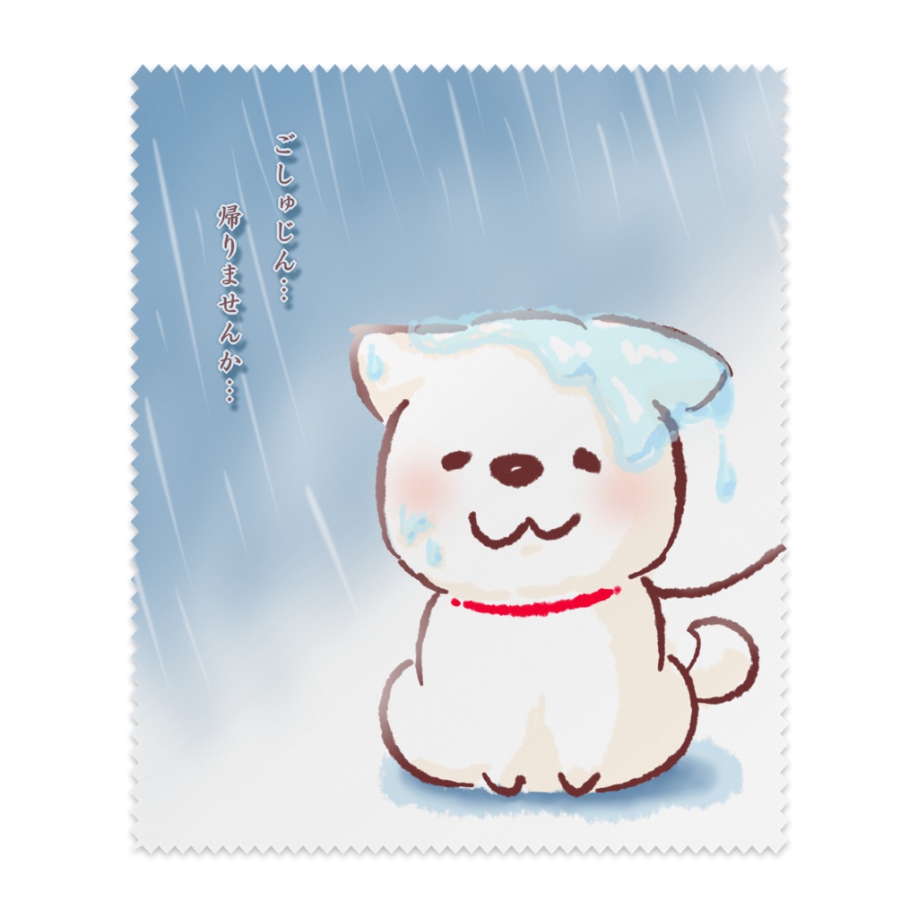 雨の日散歩