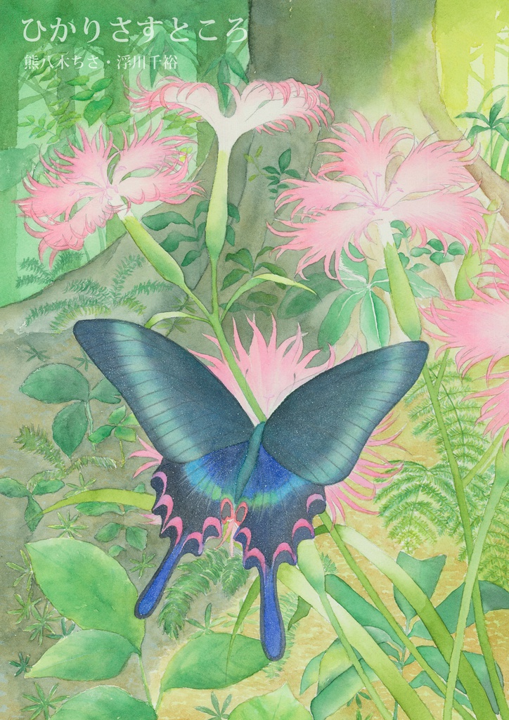 挿絵本「ひかりさすところ」