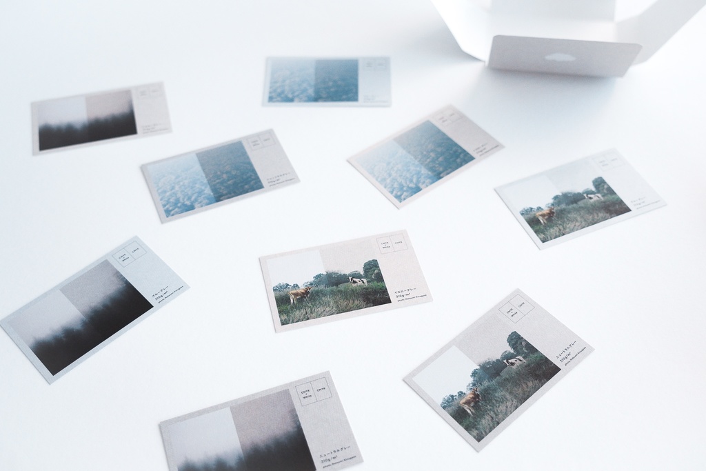 CLOUD GRAY見本セット