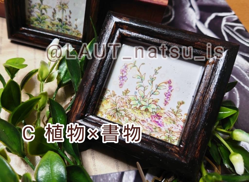 創作植物ミニ原画