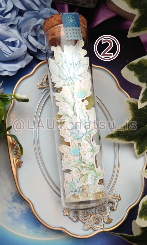 瓶詰め原画【ボトルフェアリー】