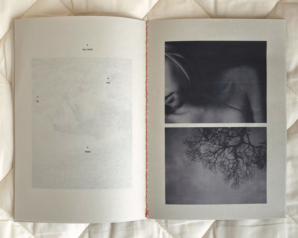 ZINE 『Ambient』