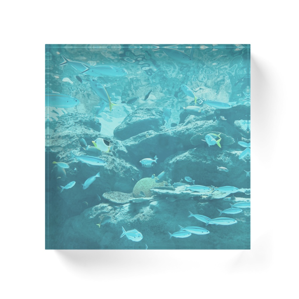 魚たちのアクリルブロック