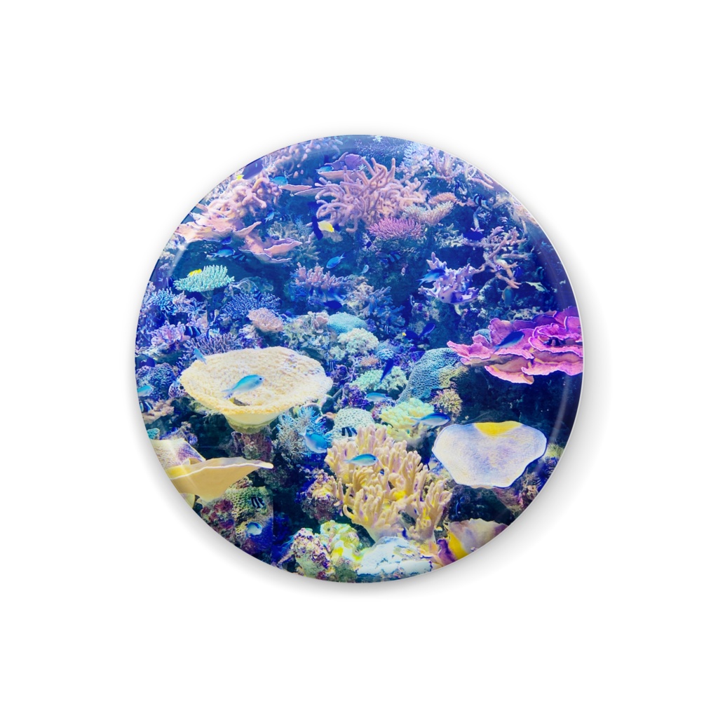 魚たちの缶バッジ