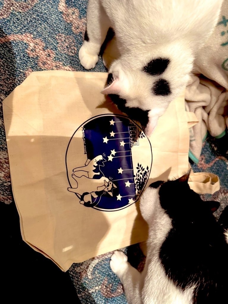 漱石先生と八郎さんのトートバッグ【絵・南野ましろ】