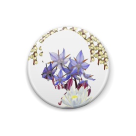 はなさかり-くま