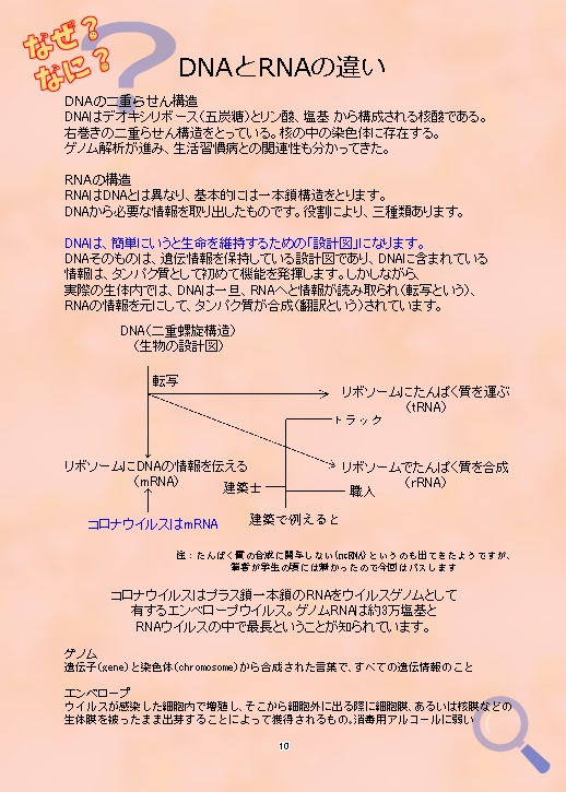 くすり屋の良佳さん 感染症の基礎の基礎知識