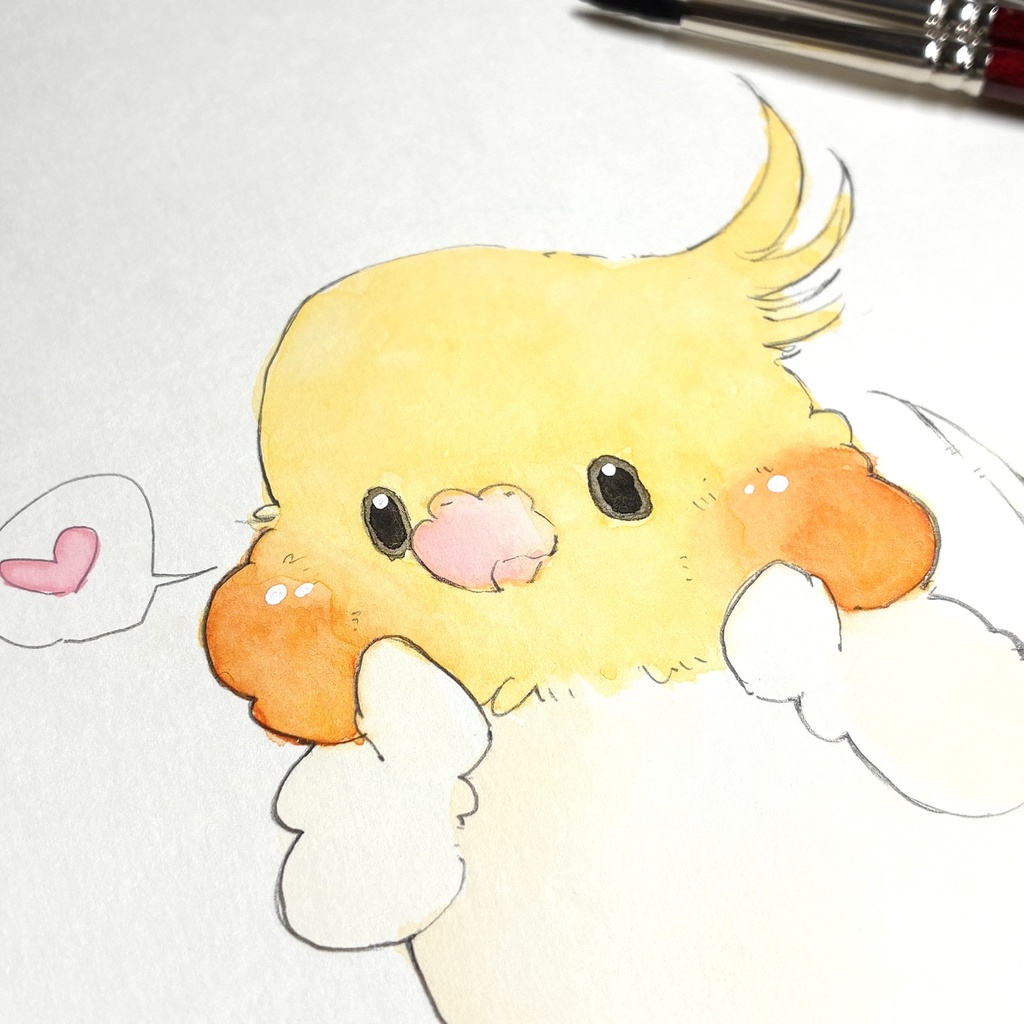 ただただ可愛いオカメ