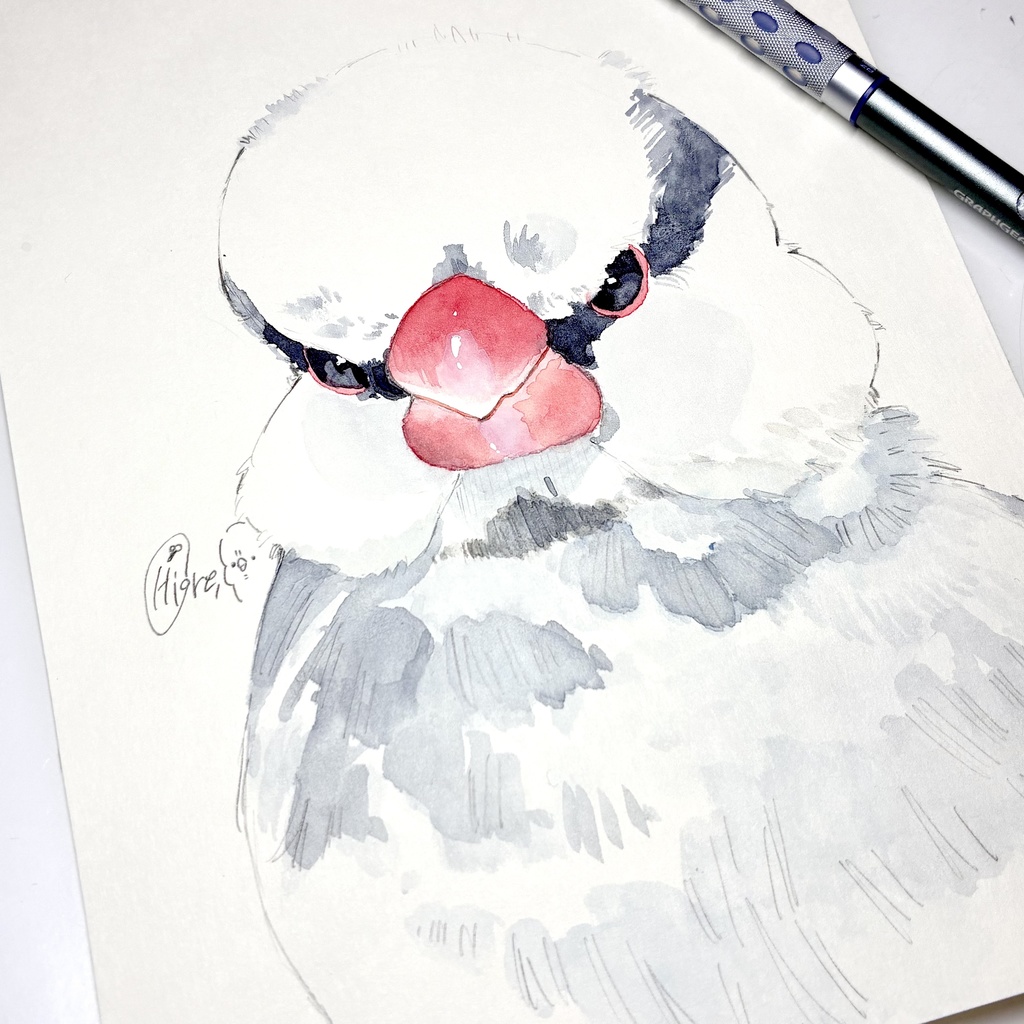 ムンなごま塩文鳥