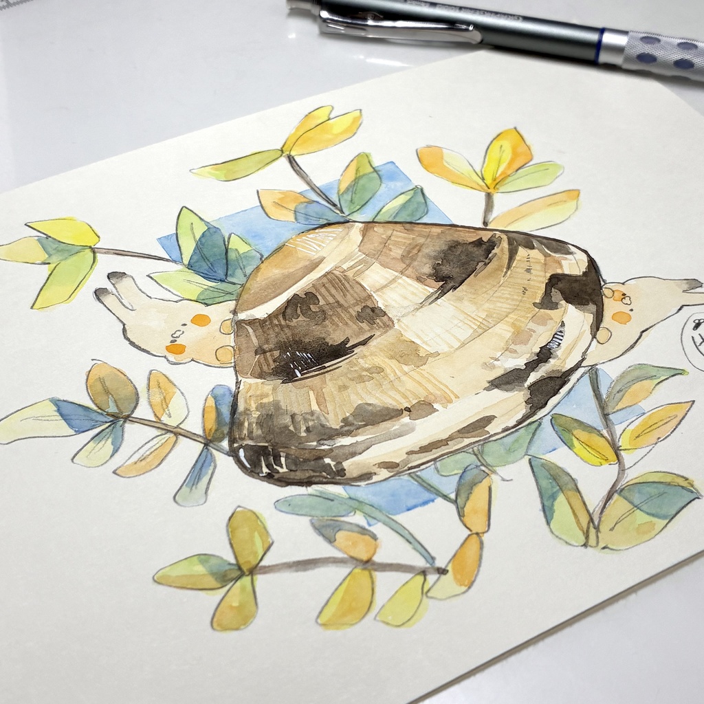 『アサリとオカメ』