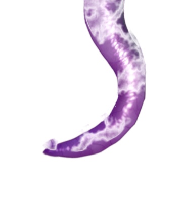 【無料あり】すごく動く!うねうね触手apng素材