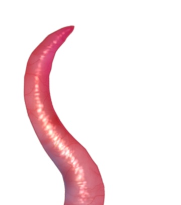 【無料あり】すごく動く!うねうね触手apng素材