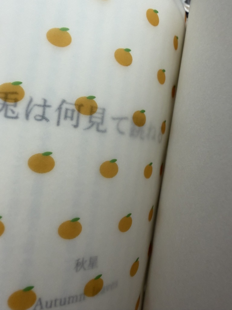 兎は何見て跳ねる