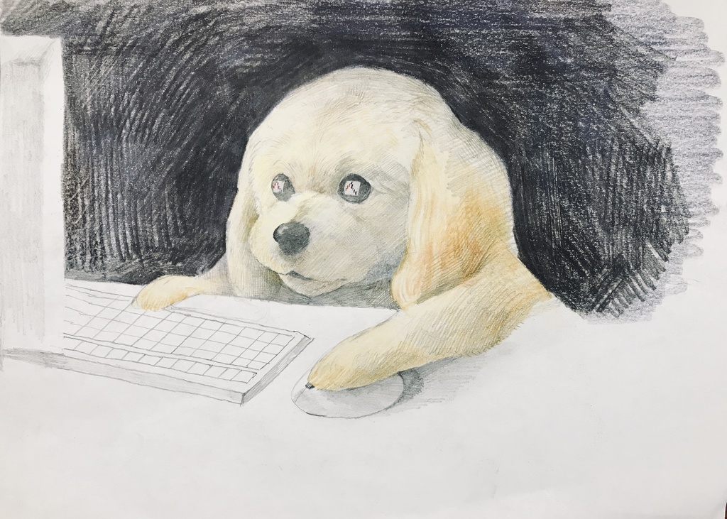 手描き動物イラスト