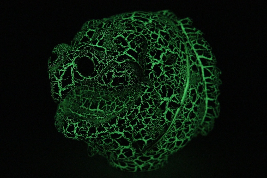 かめだるま ストーンクラック