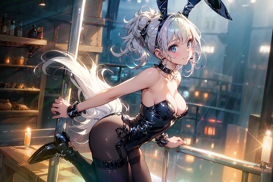 Vol.2バニーガール(一般カテゴリ)