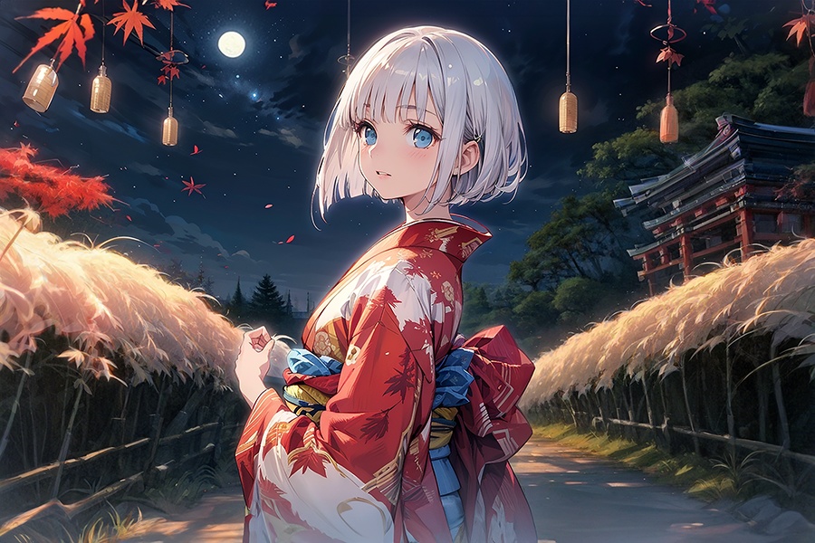 Vol.10和風,サンタガール,艦娘(一般カテゴリ)