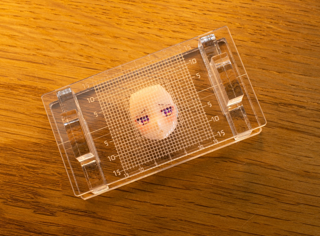 アイデカールはりはりスケール