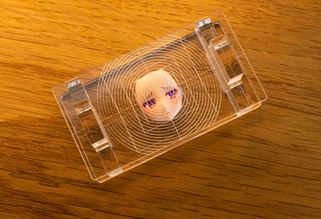 アイデカールはりはりスケール