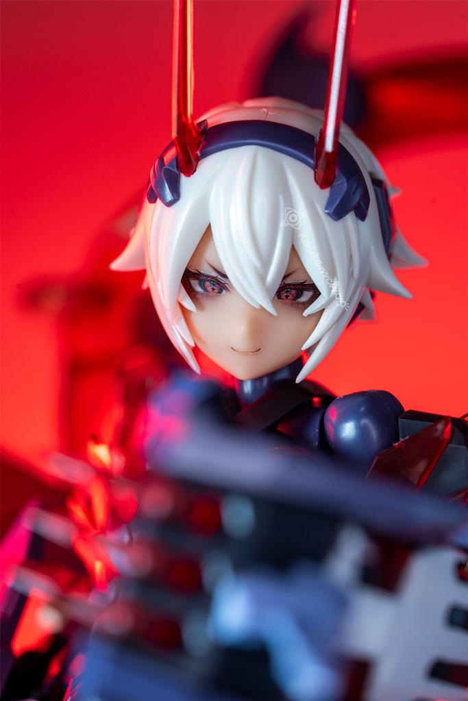 1/12汎用アイデカール「赫龍(レッドクリムゾンつよいドラゴン)」