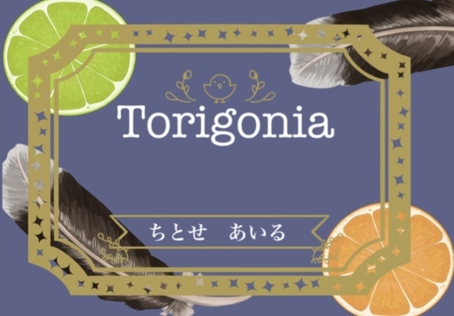 イラスト本　Torigonia 【SALE】