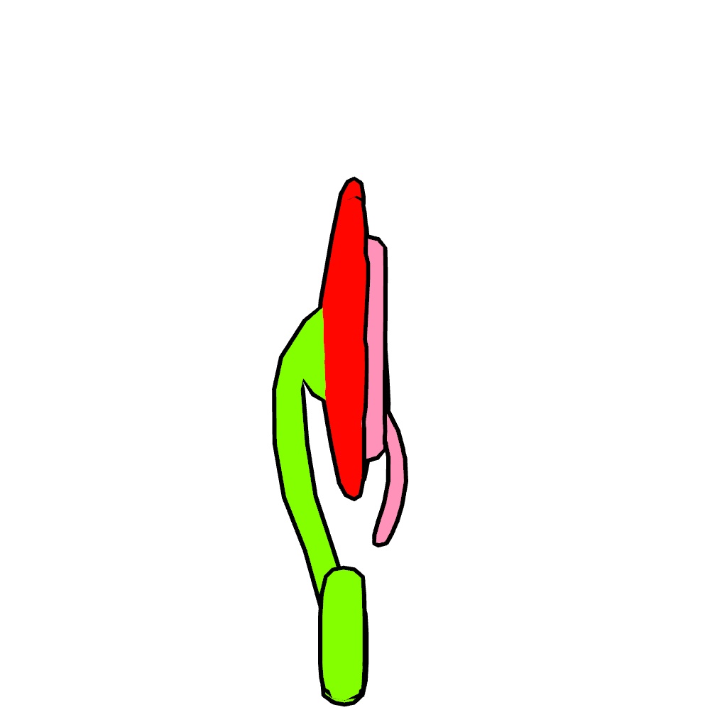 ジェネリックパンジー