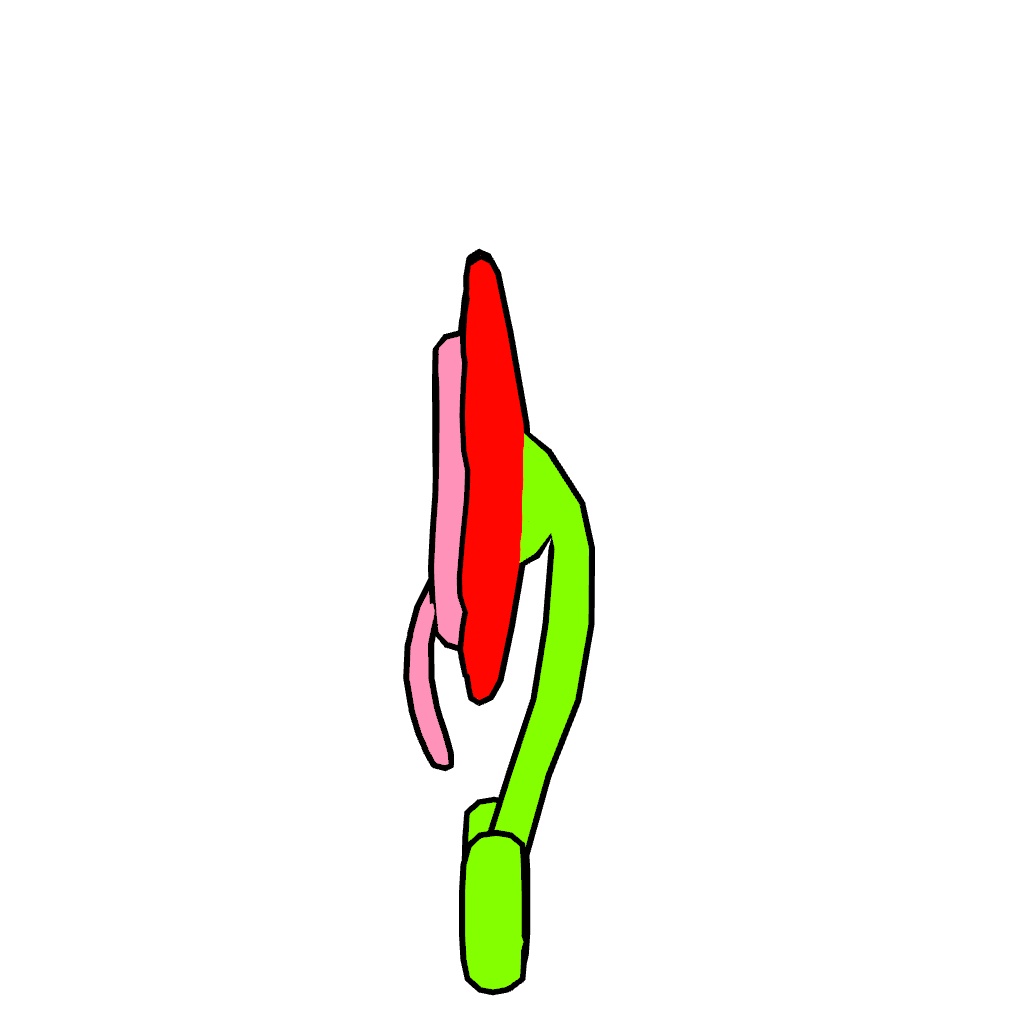 ジェネリックパンジー