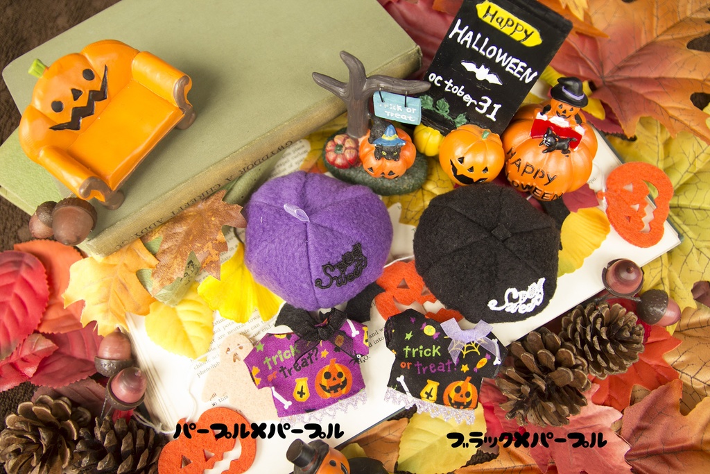 DC-ハッピーハロウィンセット