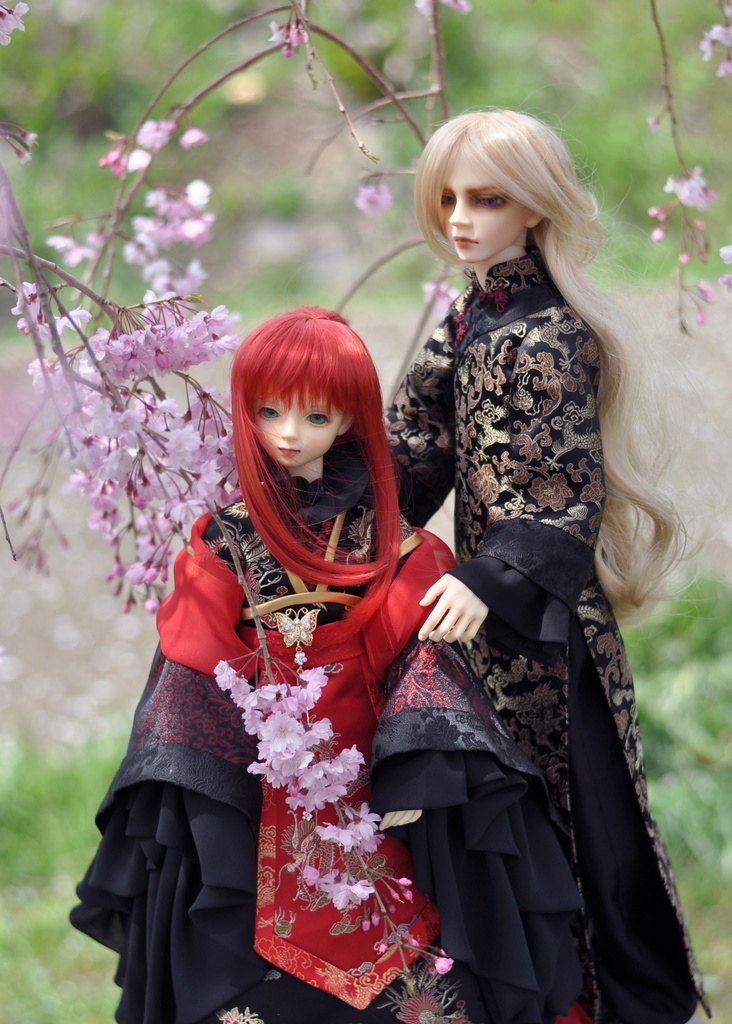 十二国記ドールフォトブック