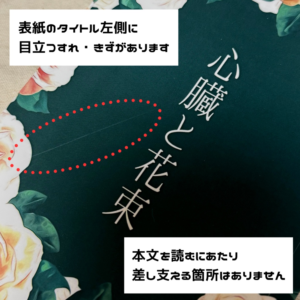 【WT夢】小説2点セット(訳あり)