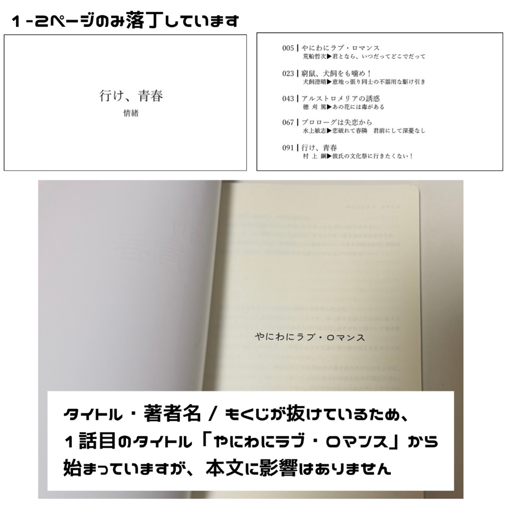 【WT夢】小説2点セット(訳あり)