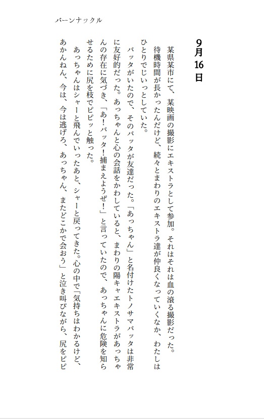 2023年のまるごと一年分!日記「バーンナックル」