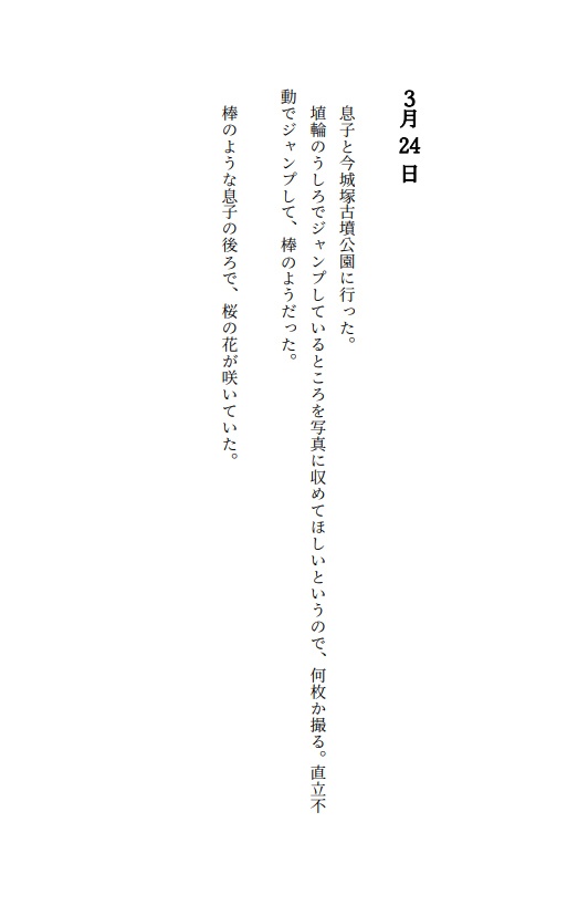 2023年のまるごと一年分!日記「バーンナックル」