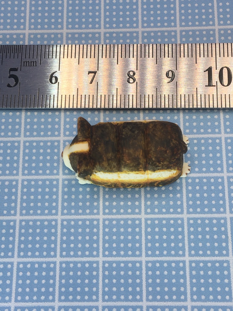 コギ食パン(トライカラー)