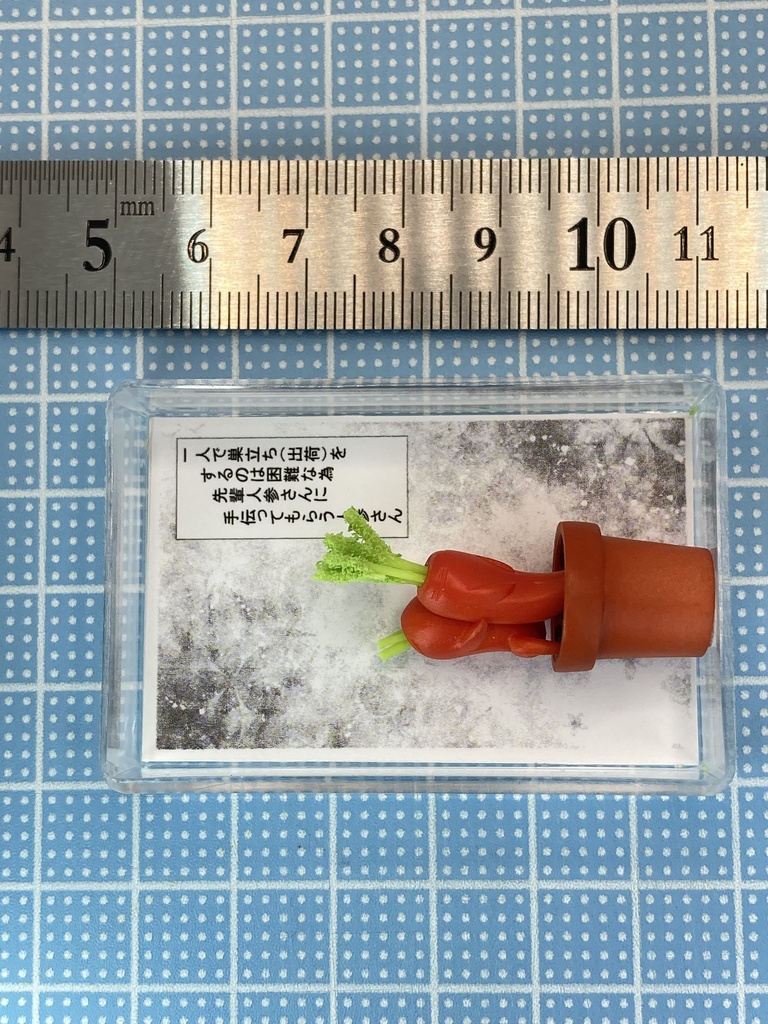 人参さん巣立ち(出荷)