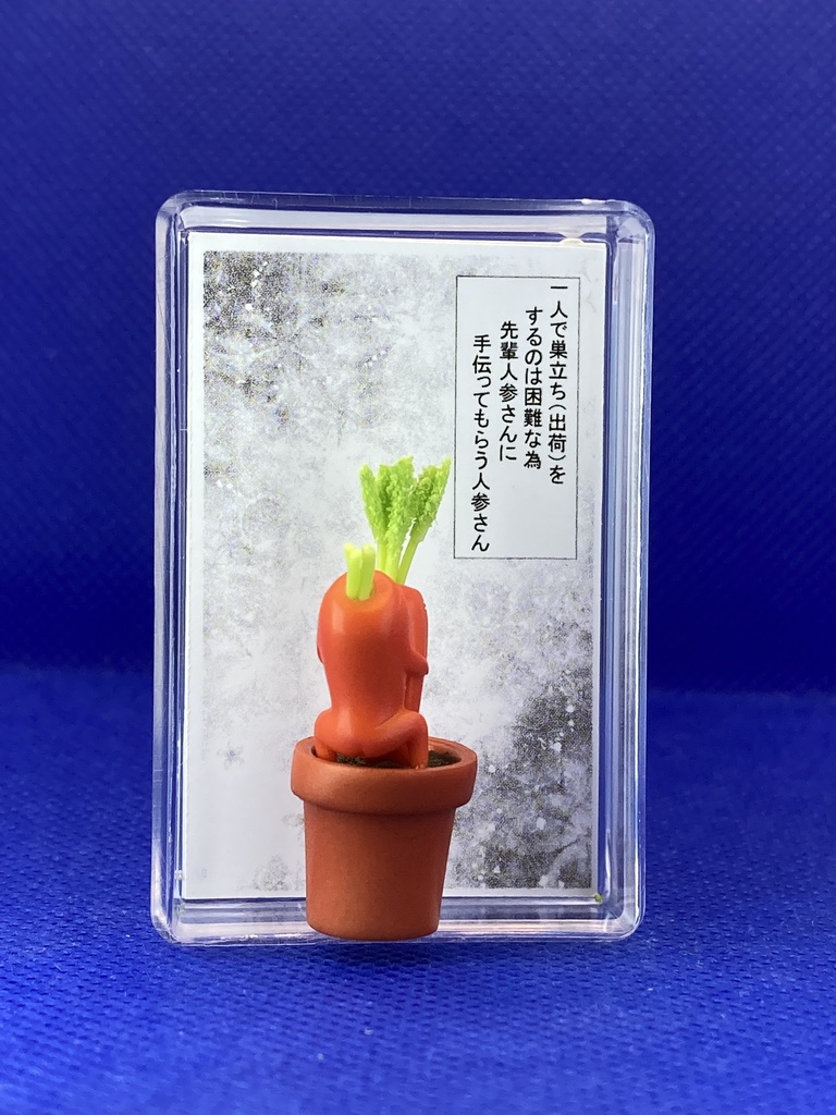 人参さん巣立ち(出荷)