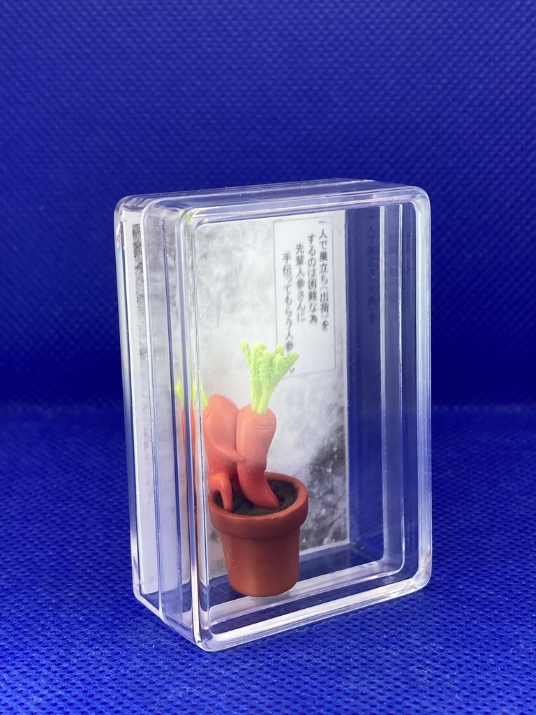 人参さん巣立ち(出荷)