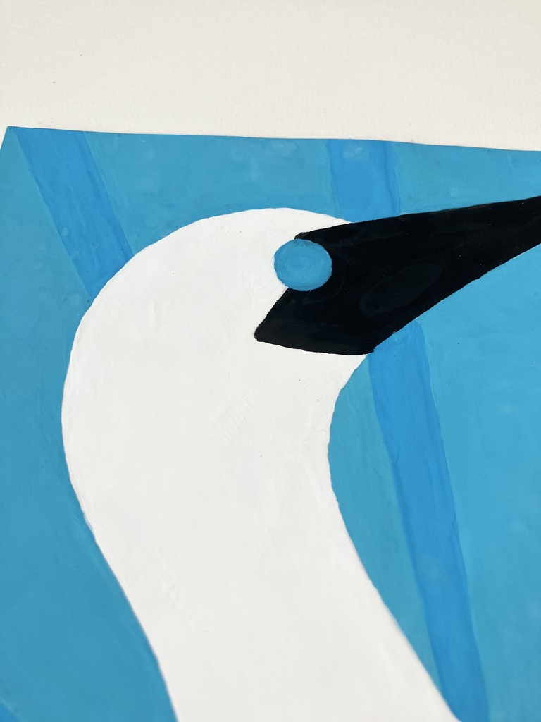 アオアシカツオドリ ポスターカラー ポストカード