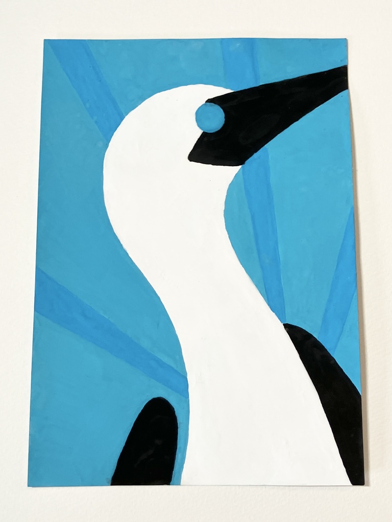 アオアシカツオドリ　ポスターカラー　ポストカード