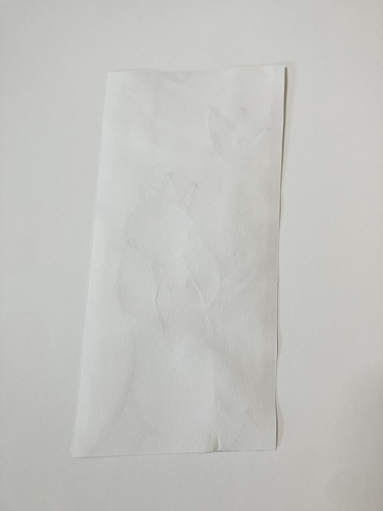 アヒルの王様 絵の具 イラスト