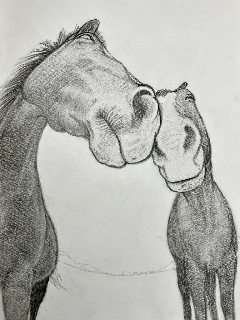 ウマの絵
