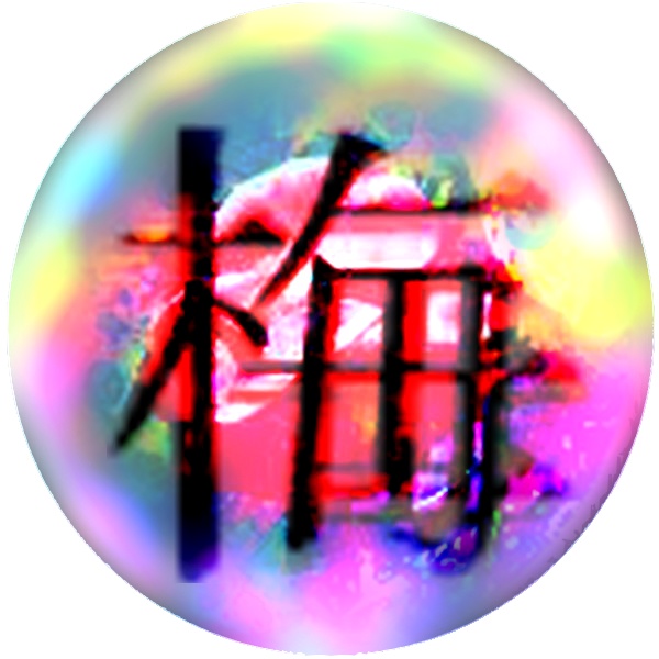 我楽他や